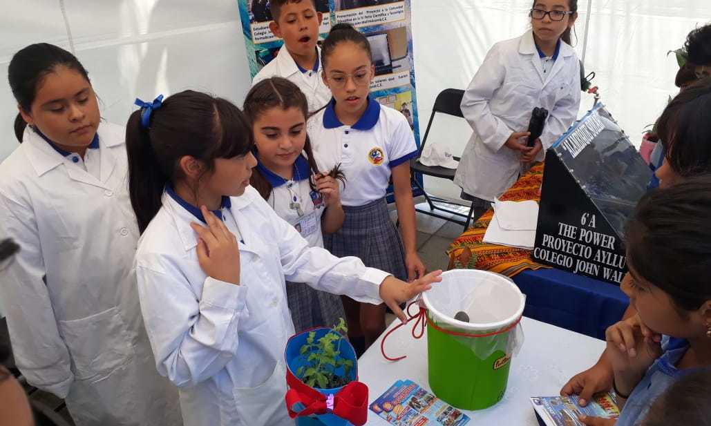 Aprendizaje basado en proyectos, una metodología innovadora y motivadora en tiempos de pandemia