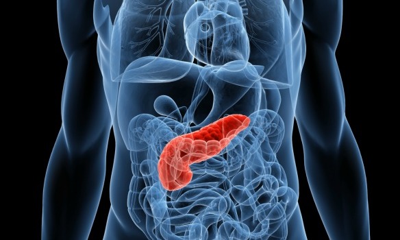 Especialistas advierten aumento en la incidencia y mortalidad por cáncer de páncreas en Chile