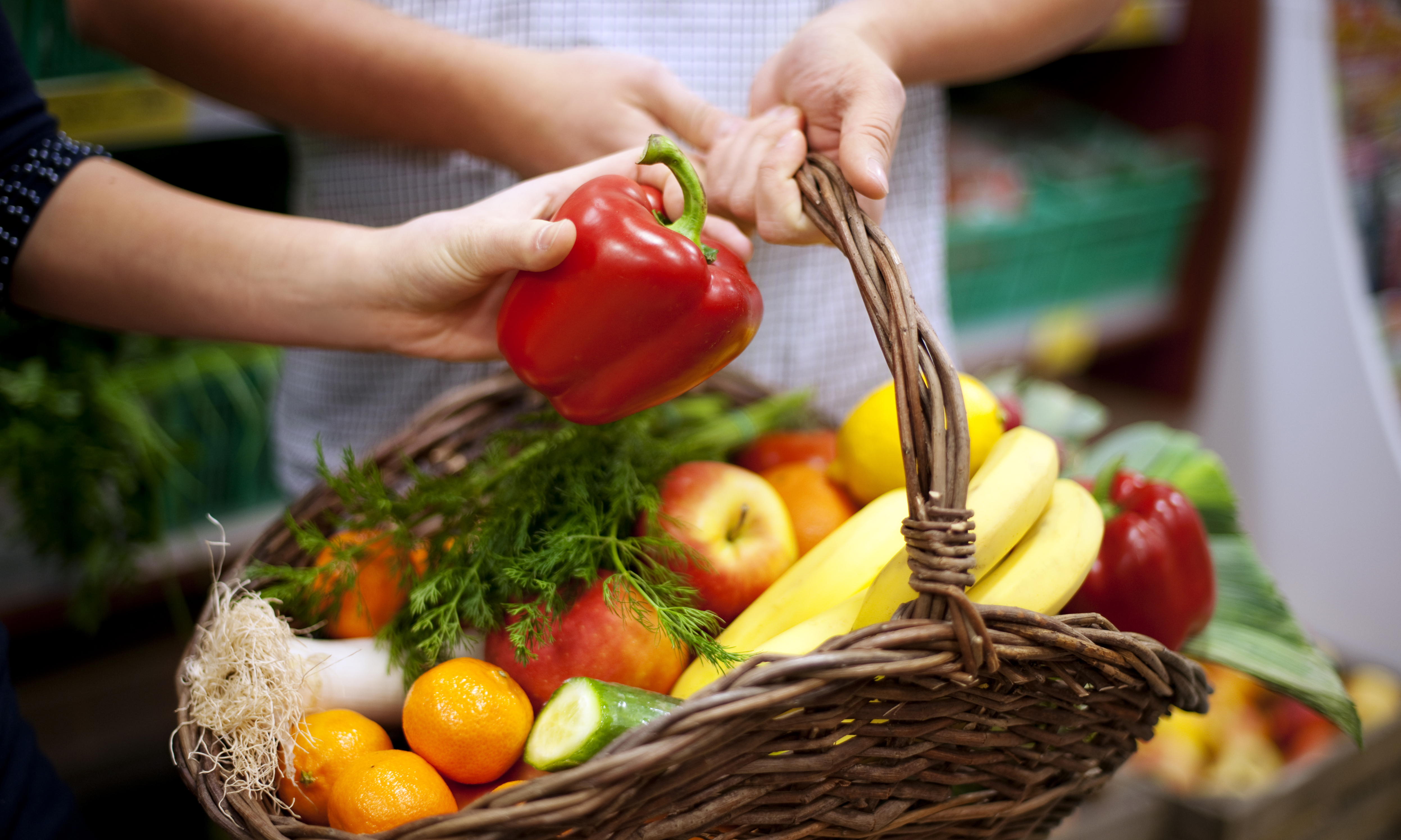 Opinión: “Por una alimentación saludable y sustentable”