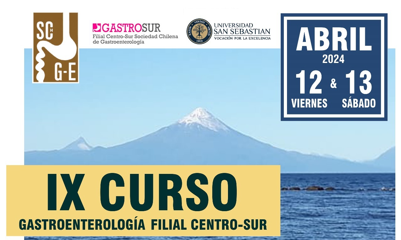 En Puerto Montt: Sociedad Chilena de Gastroenterología y Universidad San Sebastián realizarán curso sobre enfermedades digestivas