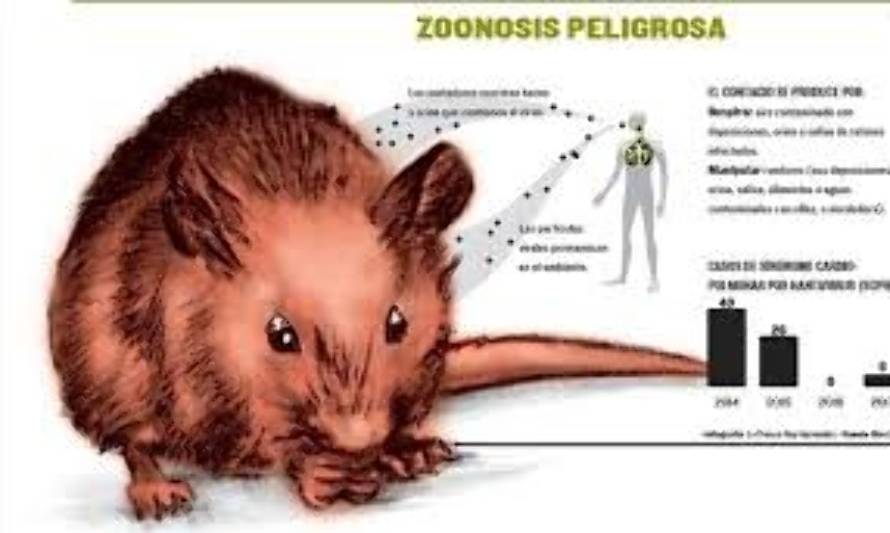 Falleció mujer contagiada de hantavirus  en hospital del toráx