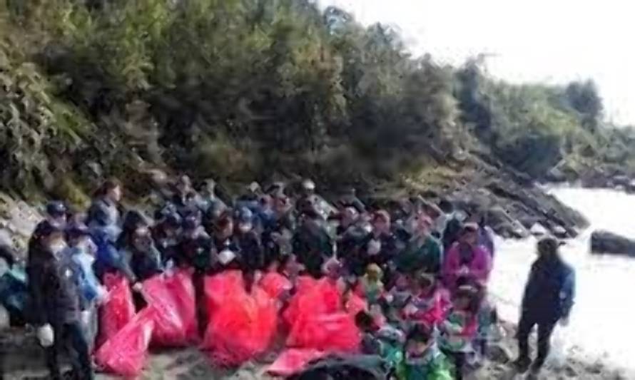 Programa une a salmoneras y mitilicultores en masiva limpieza del Canal Caicaén