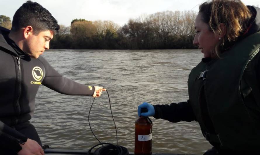 Realizan monitoreo de las aguas del Río Rahue