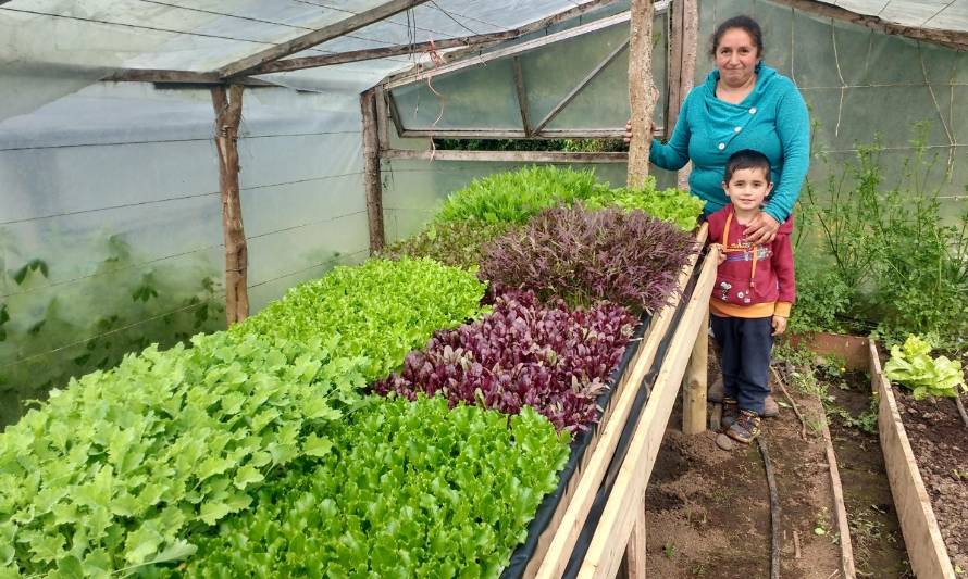 Productoras chilotas participan en últimos talleres de producción de baby hortalizas