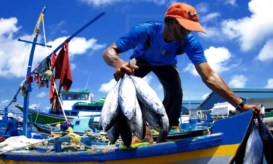 Municipalidad de Hualaihué apoyará a pescadores ante crisis de la merluza