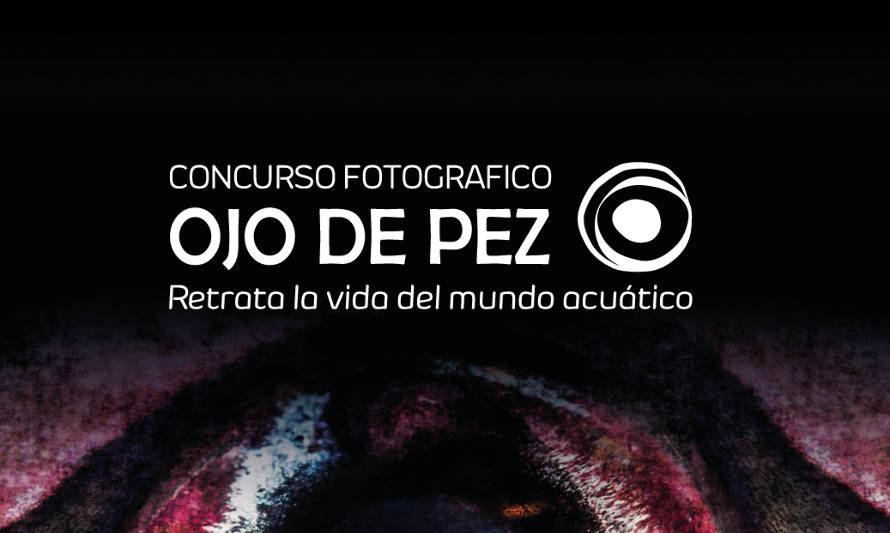 Concurso fotográfico “Ojo de Pez” premia con un viaje a la Antártica