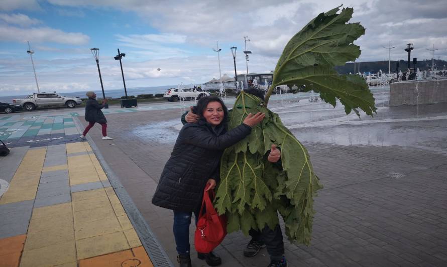 Conozca a Nalcaman, el pintoresco personaje que se toma las calles de Puerto Montt