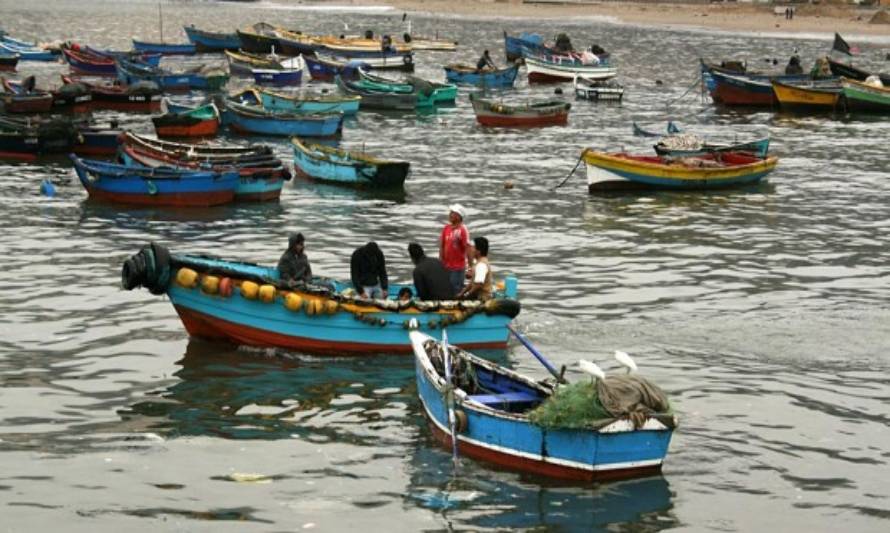 Pescadores de la macrozona norte y sur logran reunirse con el Subsecretario de Pesca