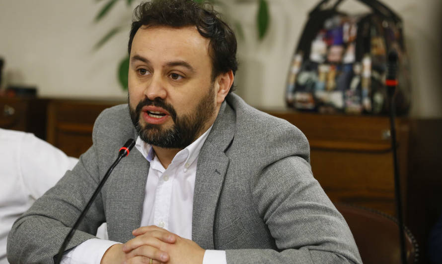 Diputado Bernales pidió una ley de fomento y desarrollo del sector artesanal chileno