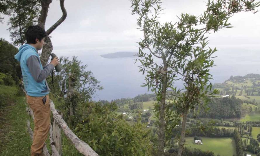 Descubre los nuevos negocios que se suman a la oferta turística del lago Ranco