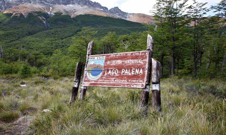 Alcalde de Palena denuncia presencia ilegal de ciudadanos argentinos en zona fronteriza