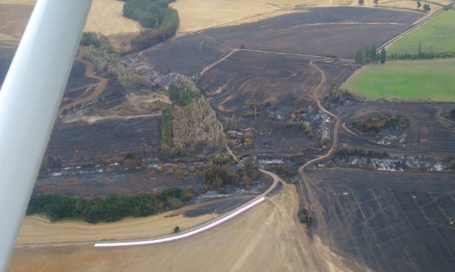 Se declara Alerta Temprana Preventiva para la Región de Los Lagos por amenaza de incendio forestal