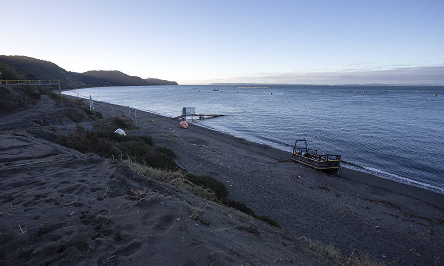 Chiloé: prohíben extraer moluscos en zonas de Quinchao por presencia de veneno amnésico