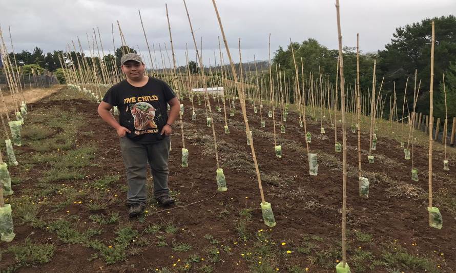 Impulsan la vitivinicultura en San Pablo y San Juan de la Costa