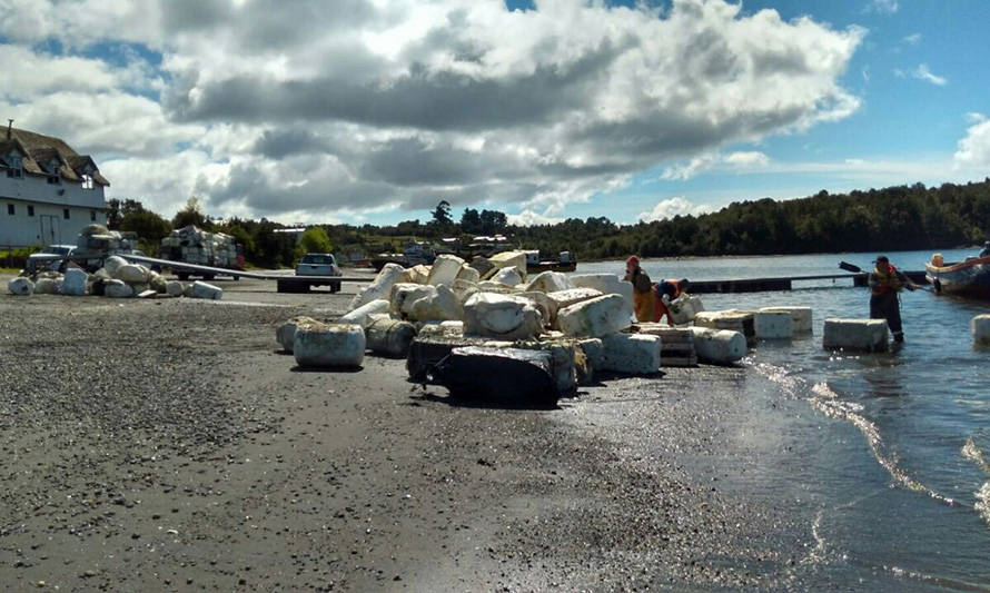 Campaña “Comprometidos con el Mar” retira casi 6 mil kilos de residuos de isla Cailín 