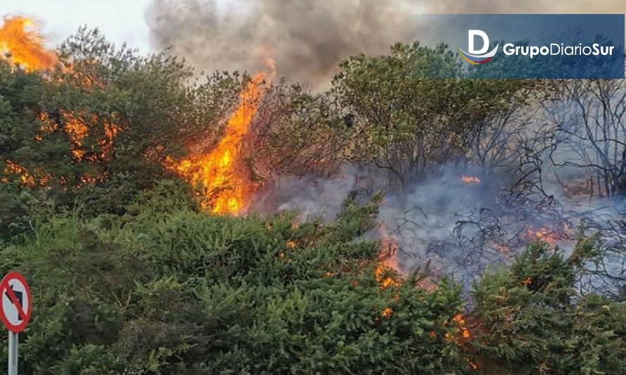 Incendio de pastizales movilizó a bomberos de Castro