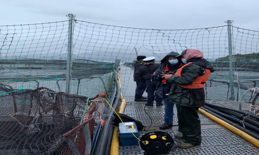 Sernapesca informa sobre avance de las fiscalizaciones por contingencia FAN en regiones de Aysén y Los Lagos