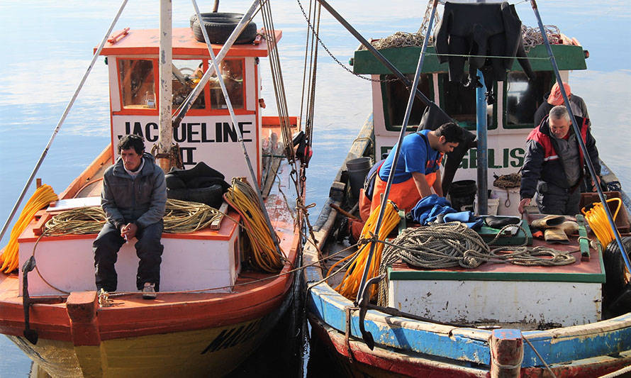 Fundación Chinquihue abre postulaciones para becas de estudio dirigidas a hijos de pescadores artesanales