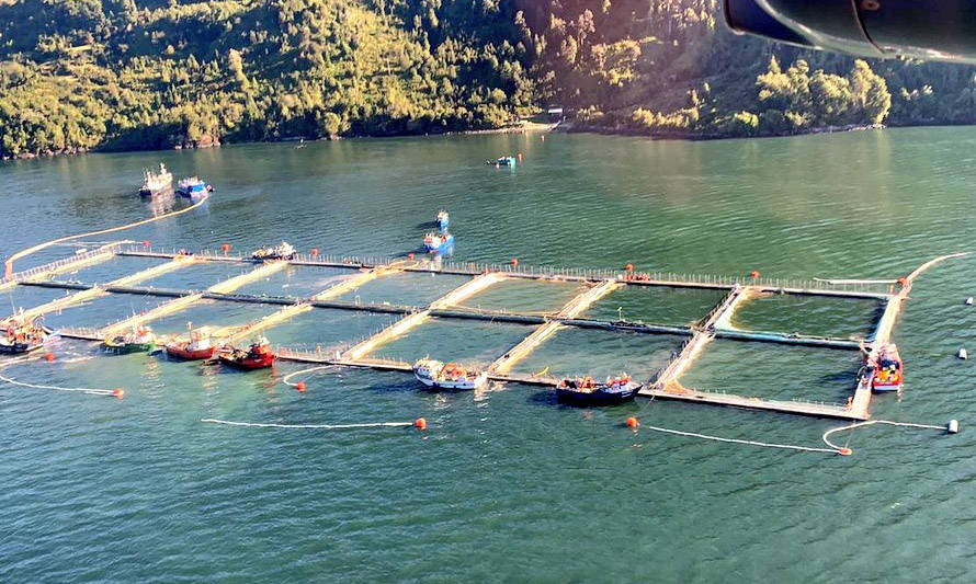 Colegio Médico Puerto Montt pide reducir la producción salmonera en fiordos y canales