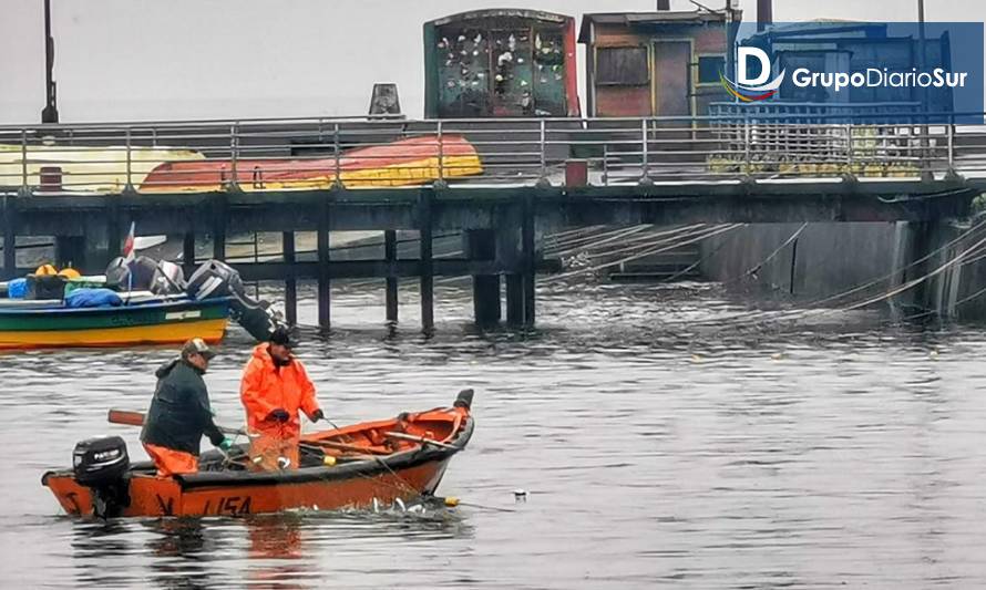 Pescadores de Ancud se benefician con proyectos de diversificación productiva