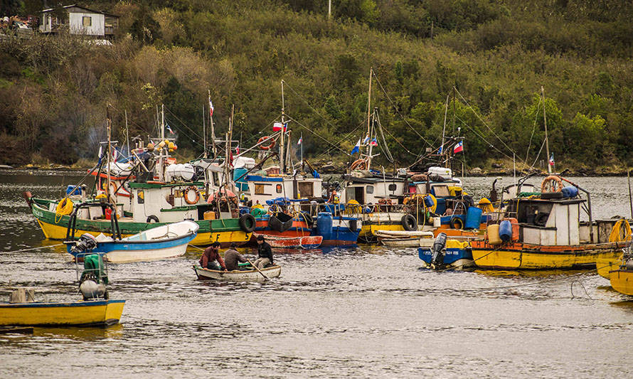 Ejecutivo anuncia que dispondrá más de $1.800 millones para apoyar a organizaciones de pescadores artesanales