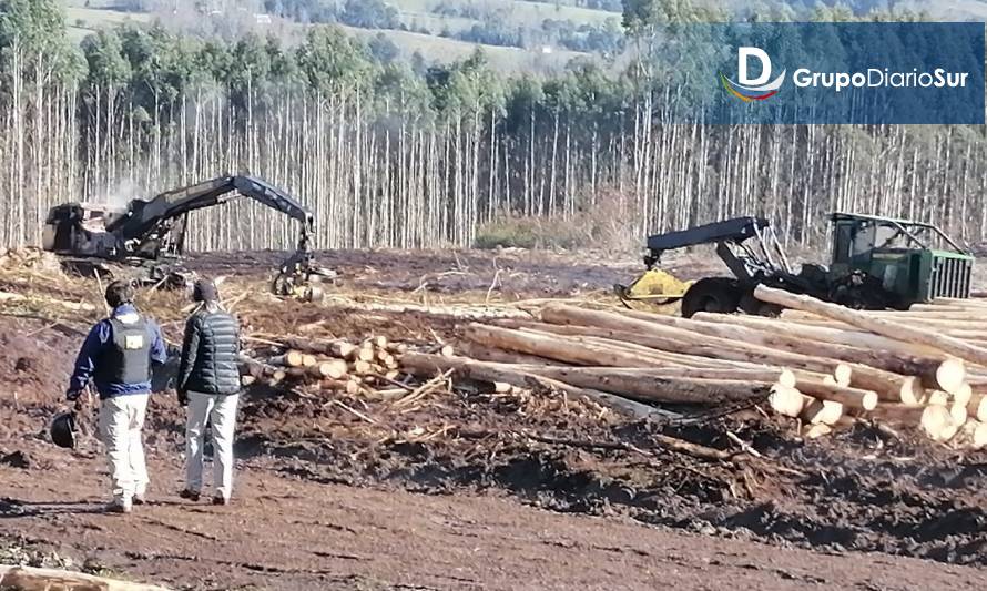 Confirman 2 atentados incendiarios en la provincia de Osorno