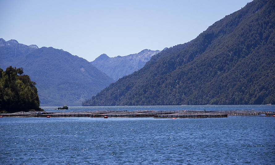 Estudio advierte que industria salmonera debe considerar riesgos climáticos y capacidad de carga para ser más sustentable