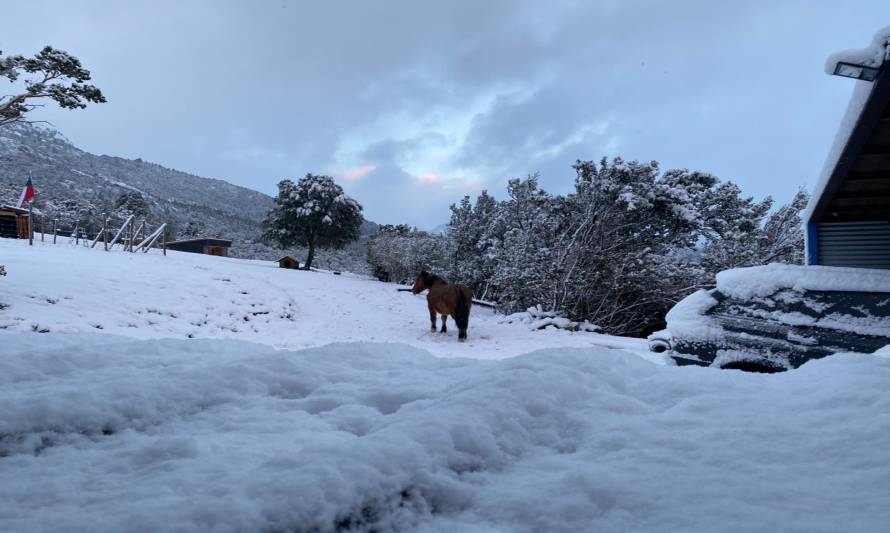 Intenso trabajo para mantener rutas despejadas por nevazones en provincia de Palena