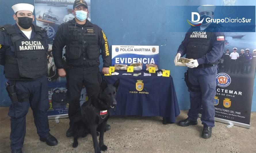 Incautan casi un kilo de drogas en buses que ingresaban a Ancud