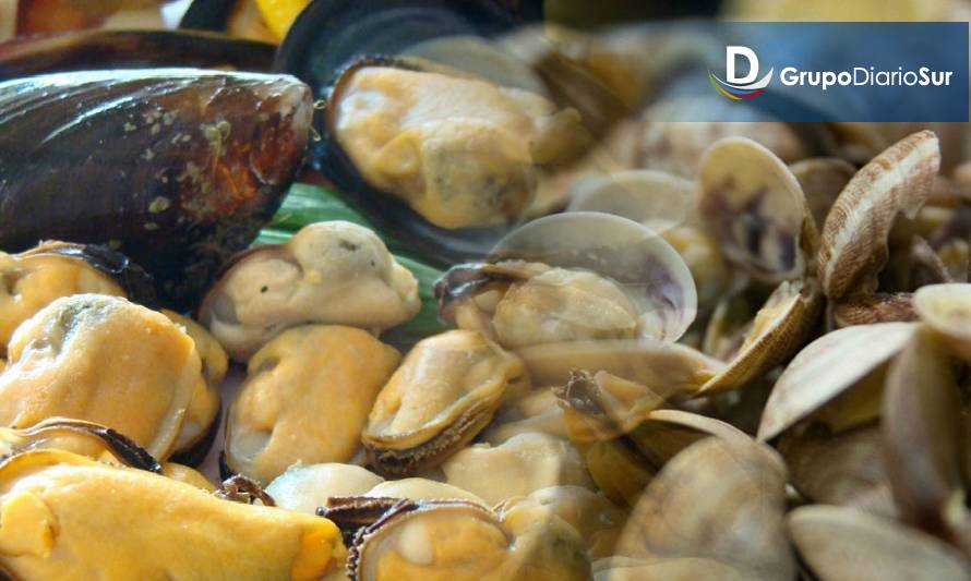 Detectan toxina amnésica de mariscos en Hualaihué