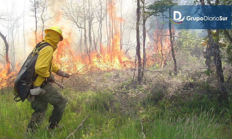 Conaf abre postulaciones para conformar brigadas forestales en la región