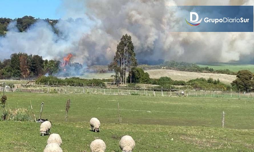 Municipio de Castro trabaja en la prevención de incendios forestales