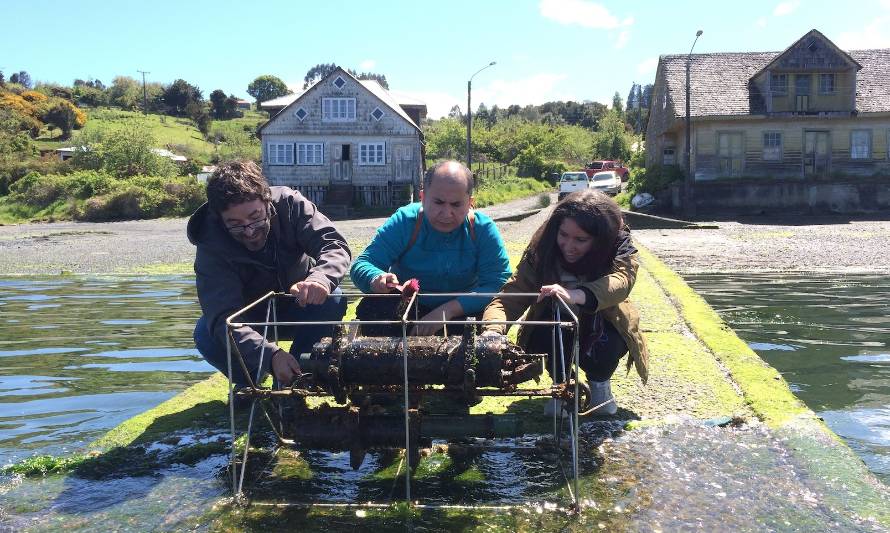 Buscan conocer diferentes usos del suelo en cuencas de Chiloé y sus impactos en la costa y la acuicultura