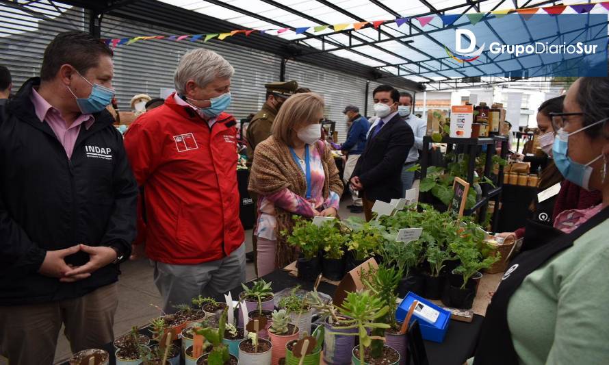 Expo PRODEMU se presenta durante este fin de semana en Puerto Varas