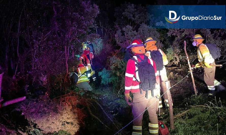 Se declara Alerta Roja para la comuna de Ancud por incendio forestal