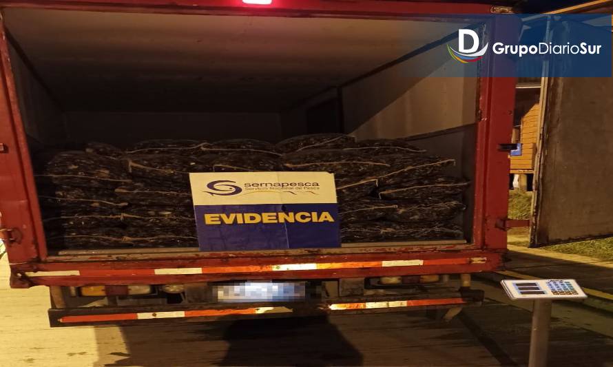 Incautan más de 11 mil kilos de semillas de choritos y otros recursos del mar en control carretero