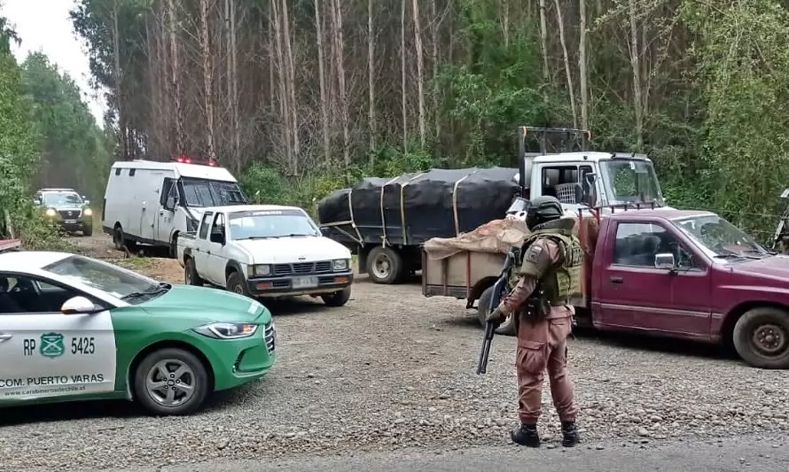 Operativo de Carabineros contra el robo de madera termina con 6 detenidos