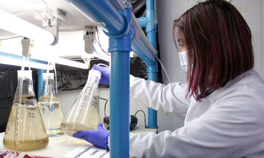 Participación femenina en las ciencias para la inclusión y sostenibilidad