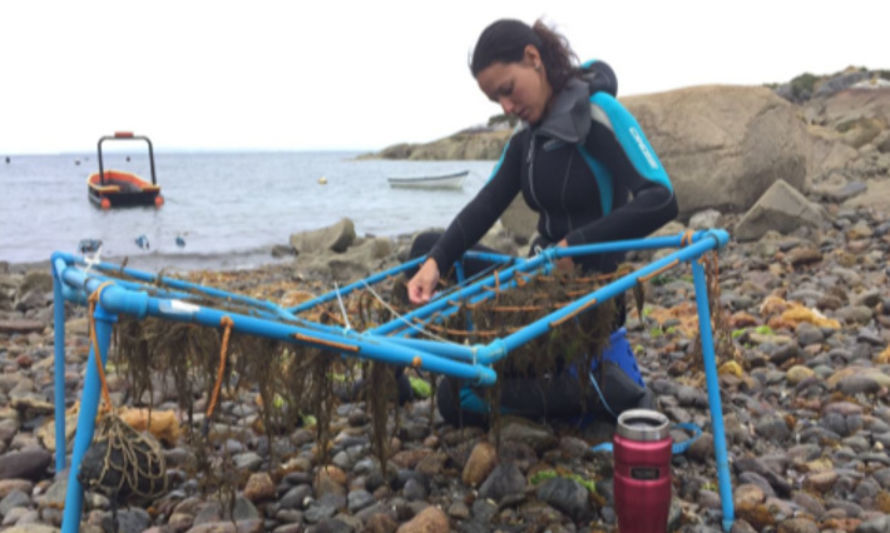 Innovadoras investigaciones en conservación y recursos naturales aportan valor al territorio