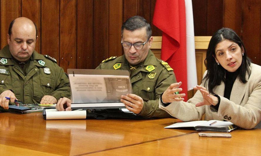 Delegada Presidencial Regional sostuvo reunión protocolar con nuevo general de Carabineros de Los Lagos