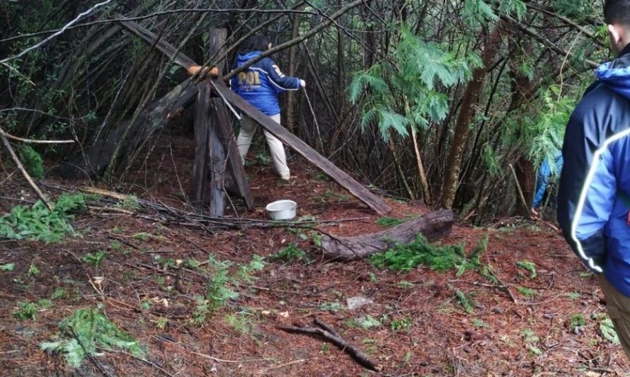 Sobre mujer encontrada en Petrohué: académico UACh llama a buscar sólida evidencia para apuntar al ataque de un puma