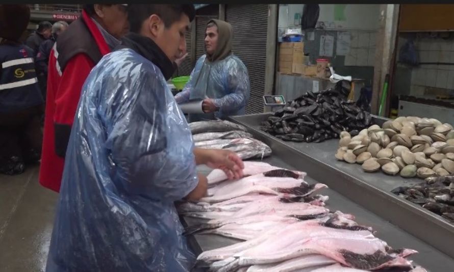 Esta medianoche comienza la veda de la merluza austral