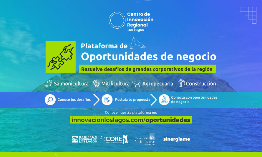 La plataforma se enfoca en los sectores de salmonicultura y mitilicultura, industria agropecuaria y la construcción. Crédito: Cedida.