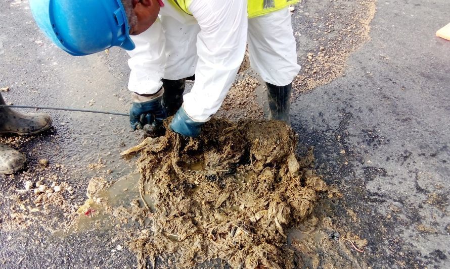 Provincia de Llanquihue: Llaman a hacer
buen uso del alcantarillado en Fiestas Patrias