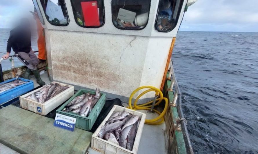 Sorprenden a 3 embarcaciones realizando faenas de pesca con arte de pesca ilegal