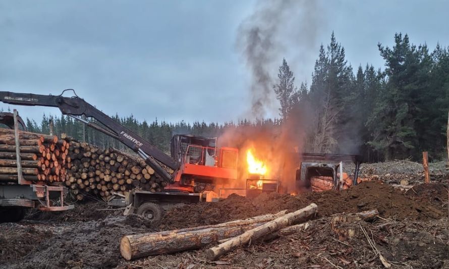 Gobierno se querellará por ataque incendiario que destruyó 5 camiones forestales en Osorno