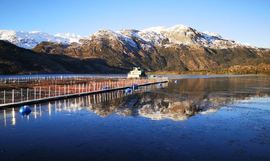 Informe de Sustentabilidad de SalmonChile destaca aportes económicos a las regiones del sur austral