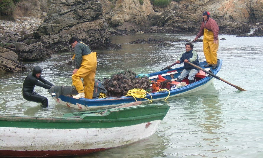 Indespa lanza programa para mejorar capacidad de gestión de la pesca artesanal y acuicultura