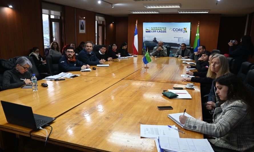 Comité de desarrollo productivo regional abre segundo llamado a concurso “activa inversión” para Los Lagos