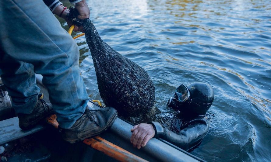 Balance 2023: Veintidós mil pescadores, pescadoras y acuicultores de pequeña escala en el país fueron apoyados por Indespa